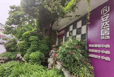 品質是安然居人不可觸碰的“底線”